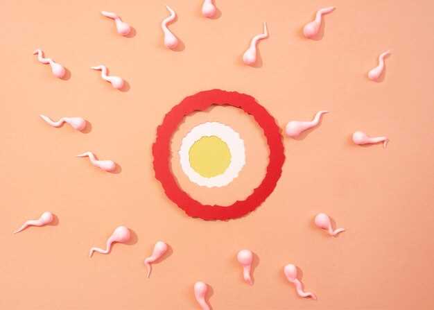 Процесс оплодотворения яйцеклетки: порядок и сроки