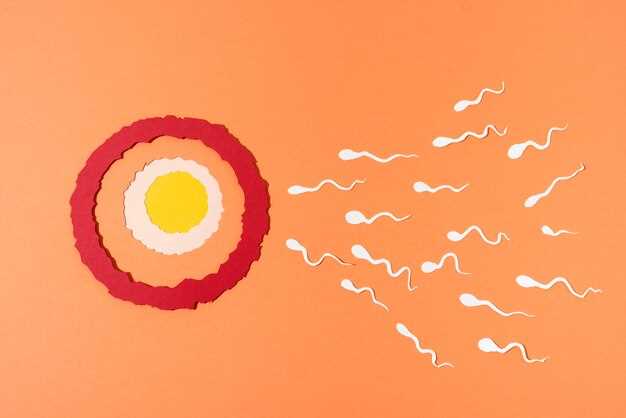 Этапы развития эмбриона после аборта