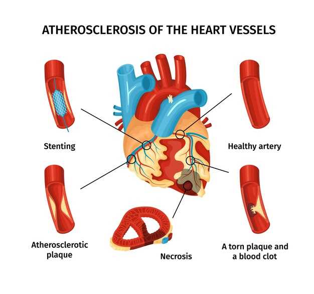 Основные артерии, идущие от сердца